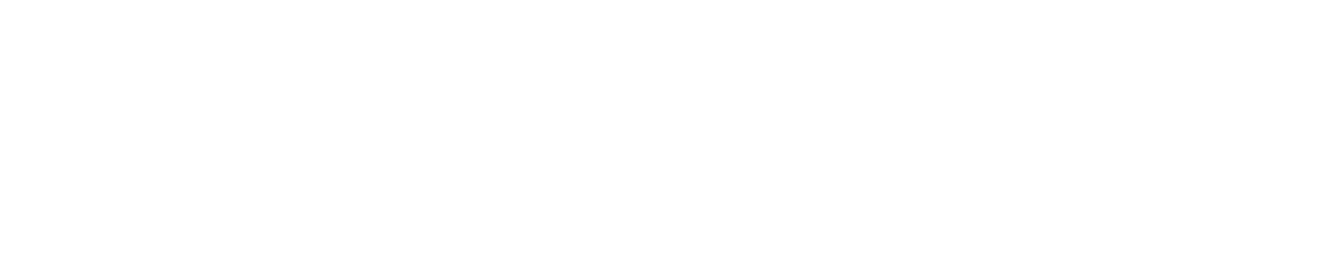 NEVER2LATE RADIO Regenthus